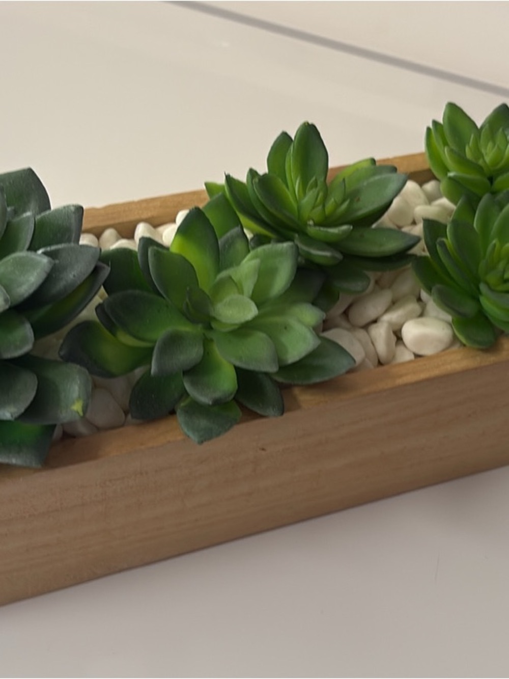 Artificial Green Succulent Tray by
